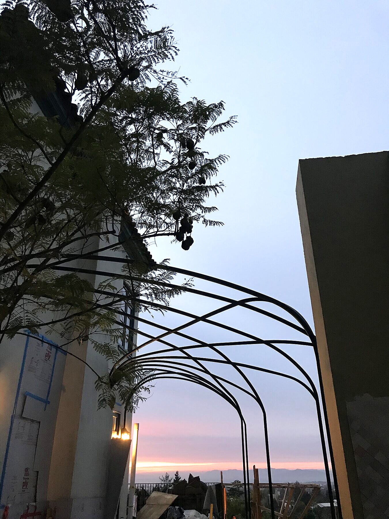 Custom steel web pergola structure